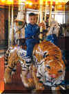 Tiger and PJ