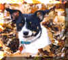 Missy at work
