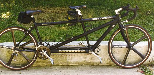 tandem_after.jpg (42771 bytes)
