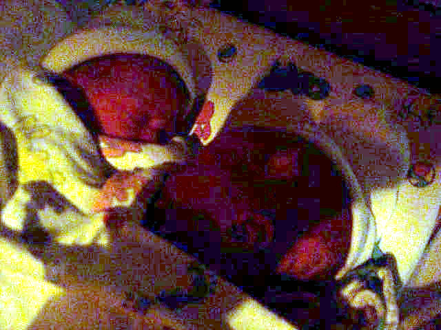 Baby A (Jaedon) & Baby B (Jaxon)