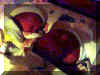 Baby A (Jaedon) & Baby B (Jaxon)
